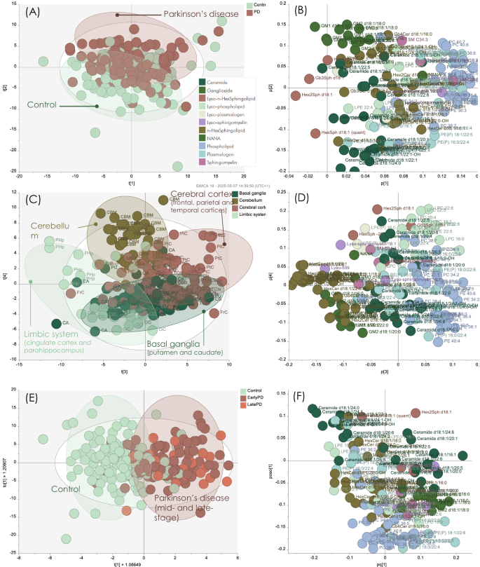 Fig. 2: Multivariate analysis of PD and control shows regional and disease-related differences.