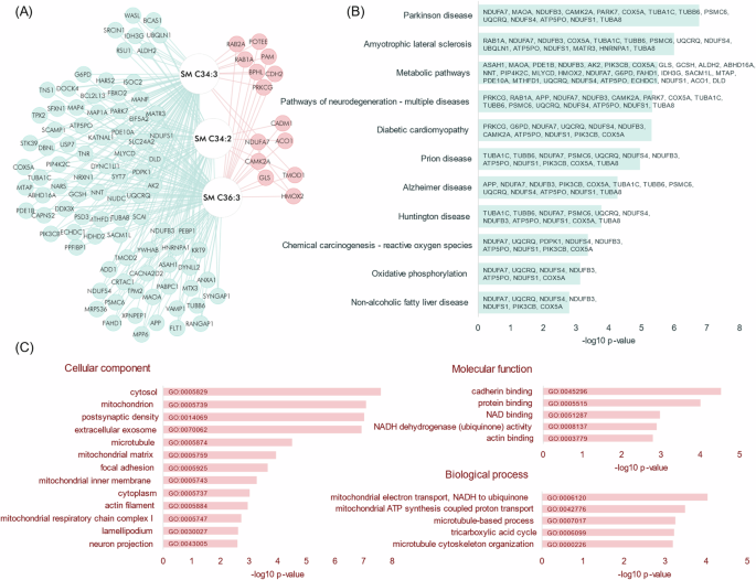 Fig. 5: Correlation between lipids and proteins.