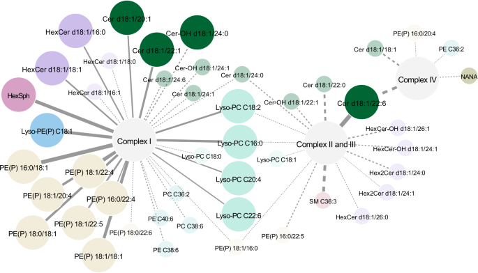 Fig. 6: Network of linear mixed model results, showing significant interactions between class (PD or control), and mitochondrial complex I, II-III, IV ratioed to citrate synthase.