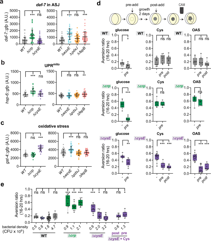 Fig. 2: Diets that induce aversion elicit stress responses in C. elegans.