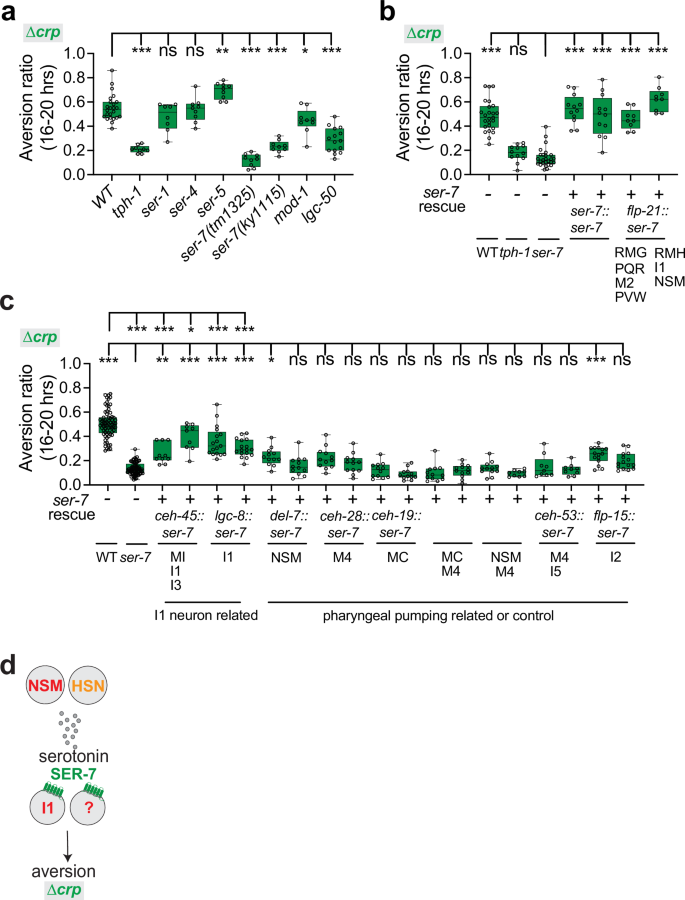 Fig. 5: The serotonin receptor SER-7 drives aversion from the mediocre ∆crp diet.