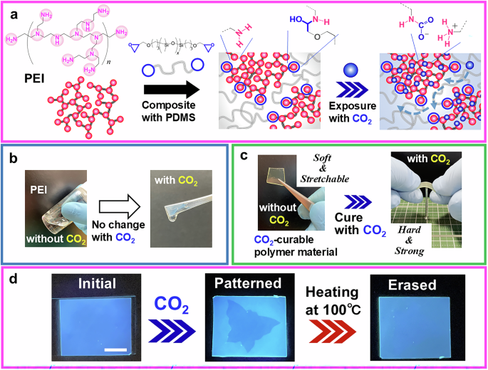 Fig. 1: Design concept of CO2-curable polymers using PEI as the CO2-vitrifiable building block.