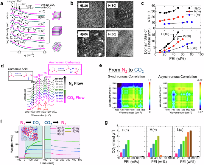 Fig. 2: Nanophase-separated morphology and CO2 capture performance of the synthesized CO2-curable polymers.