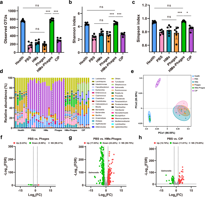 Fig. 8: Gut microbiome analysis in mice with different treatments.