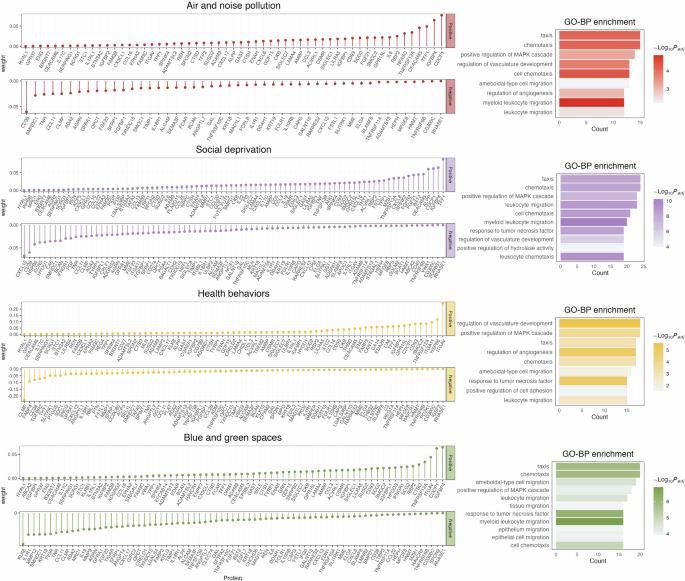 Fig. 4: Proteomic signature of co-exposure pattern.