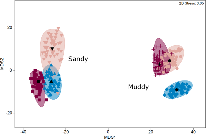 Fig. 6: Macrofaunal community structure grouped by site and treatment.