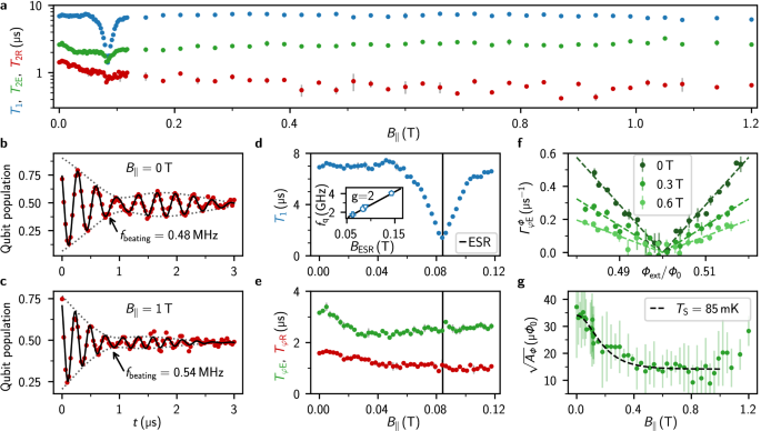 Fig. 2: Qubit coherence in magnetic field: signatures of environmental spin polarization.