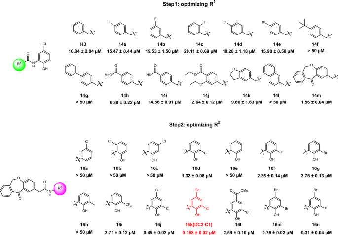 Fig. 4: Chemical structures and bioactivities of compounds 14a-m and 16a-n in the FP assay.