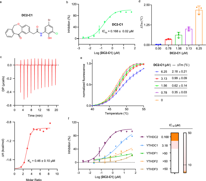Fig. 5: Bioactivities of DC2-C1 against YTHDC2.