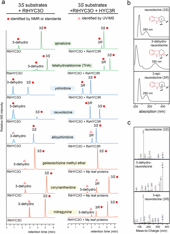 Fig. 2: Rauvolfia HYC3O and HYC3R catalyze C3 stereochemistry inversion across structurally diverse heteroyohimbine, yohimbine, and corynanthe types of MIA substrates.