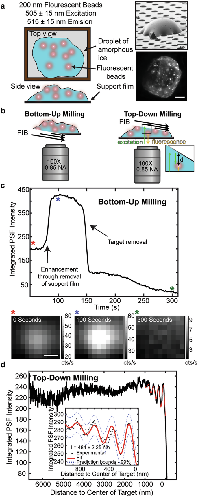 Fig. 1: Synthetic test system for developing fluorescence-based interferometric FIB guidance.