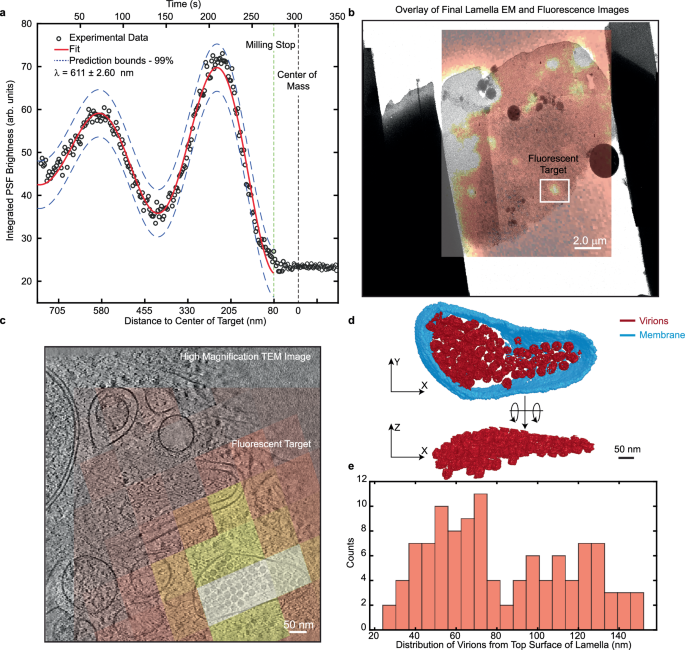Fig. 4: Demonstration of targeted milling to AAV virions.