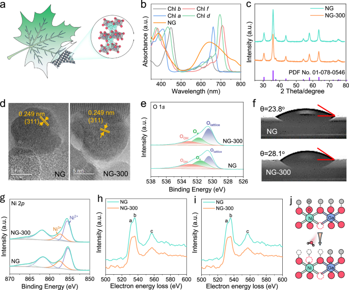 Fig. 1: Design scheme and structural characterization of the nano-pigment catalyst.