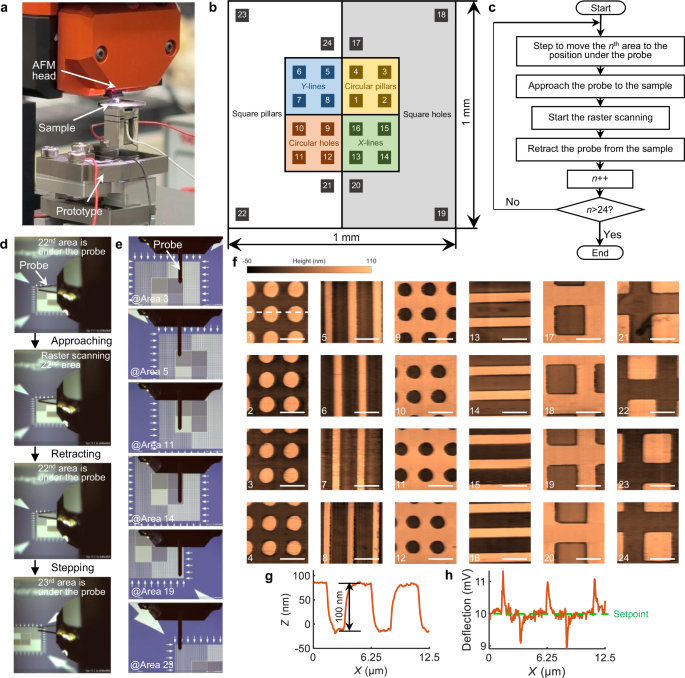 Fig. 4: Cross-scale high-bandwidth AFM sampling imaging.