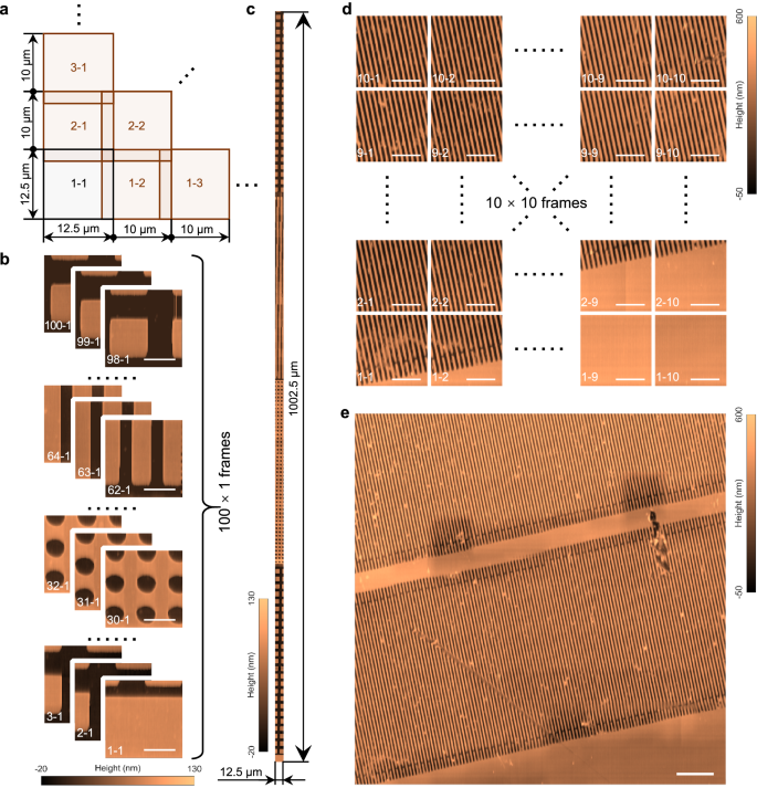 Fig. 5: Cross-scale high-bandwidth AFM stitching imaging.