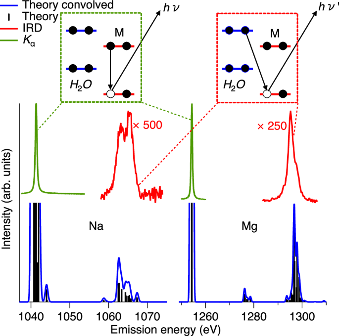 Fig. 2: Theoretical and experimental overview of the IRD signal compared to Kα.