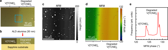 Fig. 3: Magnetic force microscopy of V[TCNE]x.