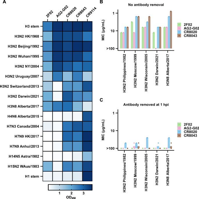Fig. 3: Binding activity and neutralization activity of AG2-G02 and 2F02.