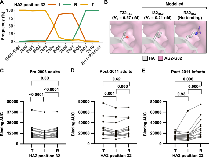 Fig. 5: Evolution of HA2 position 32 influences the antigenicity of the lower stem epitope.