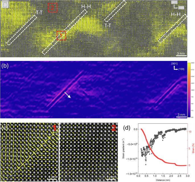 Fig. 4: Polarization and strain distribution in Fe-BNBT thin films revealed by STEM-GPA analysis.
