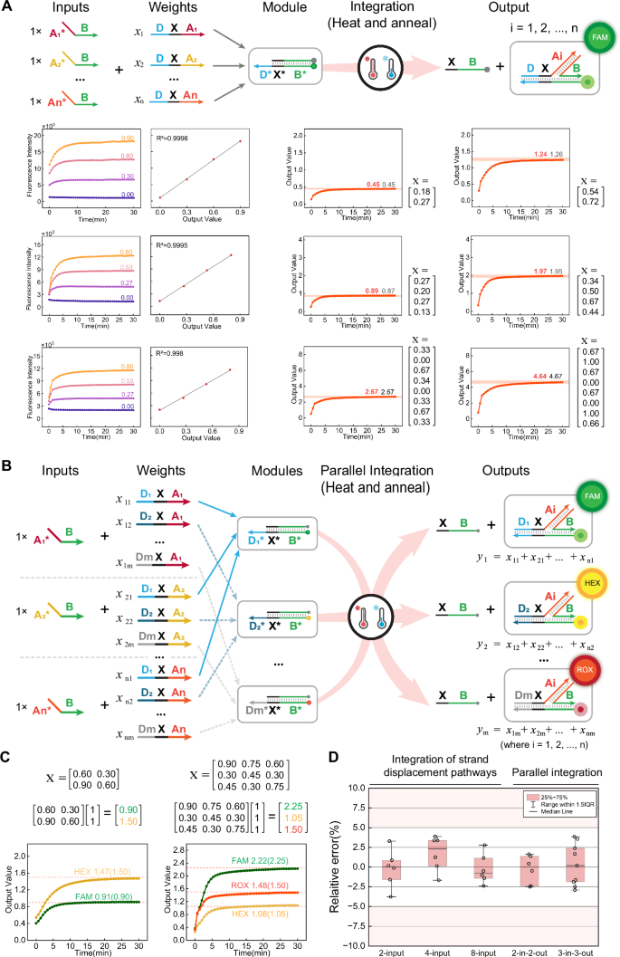 Fig. 2: Integration of multiple pathways of allosteric-toehold strand displacement reaction.