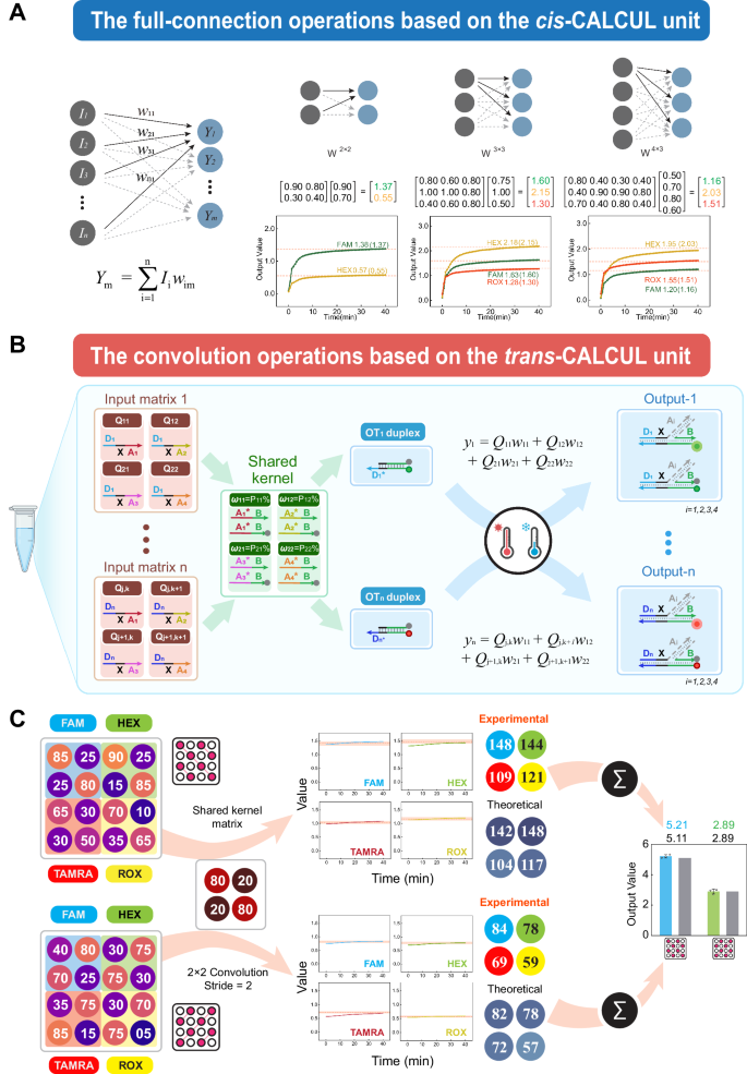 Fig. 4: The cis-CALCUL units based full-connection and the trans-CALCUL units based convolution operations.