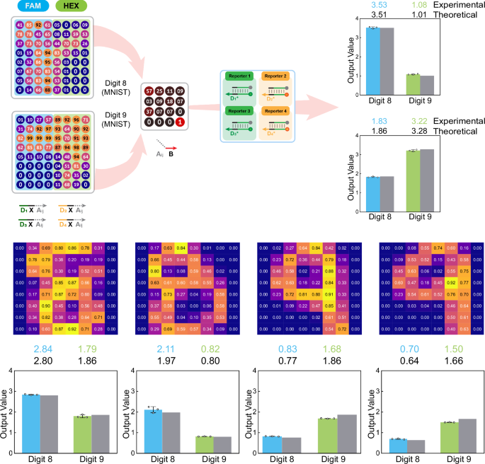 Fig. 5: The trans-CALCUL unit based ConvNet for image recognition.