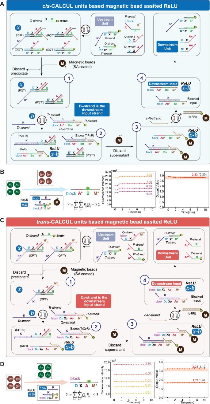 Fig. 6: Magnetic bead assisted CALCUL units.