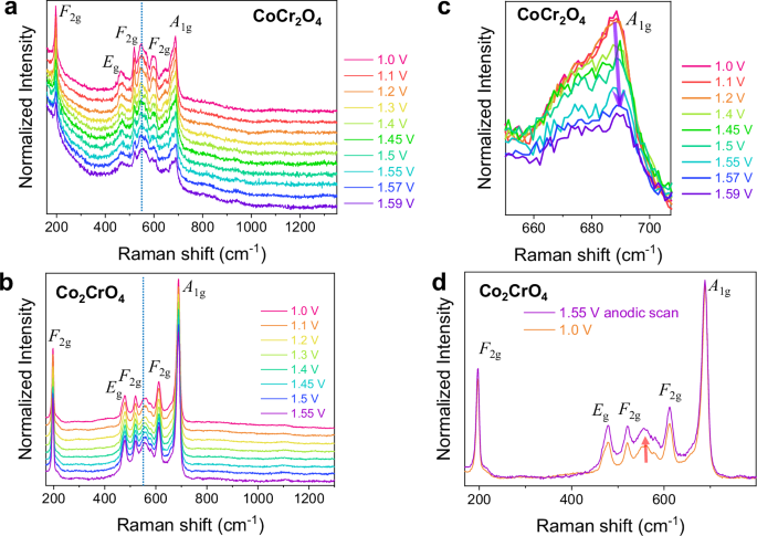 Fig. 4: Formation of intermediate species on CoCr2O4 and Co2CrO4 during OER.