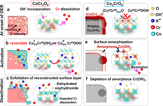 Fig. 8: Schematic diagram showing surface reconstruction and transformation of CoCr2O4 and Co2CrO4 during OER.