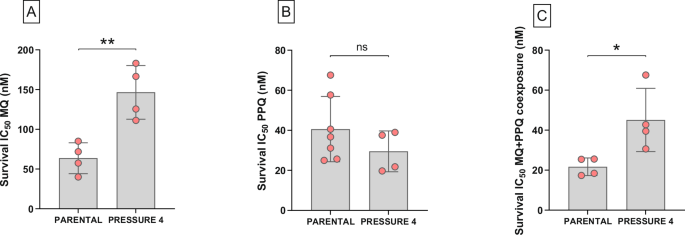 Fig. 2: Evolution of in vitro susceptibility in the parental strain and the selected strain after continuous exposure to MQ + PPQ.