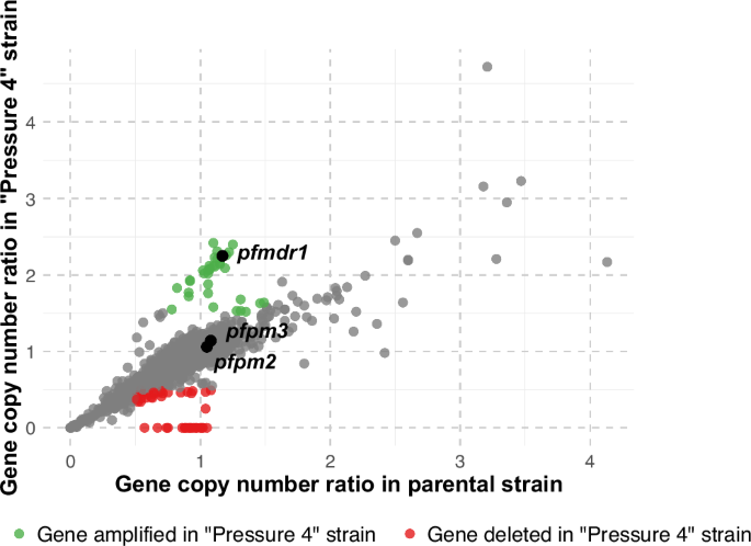 Fig. 3: Gene copy number variations between the parental and pressure 4 strains.