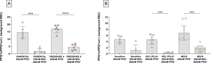 Fig. 4: Radioactive PPQ incorporation assay.