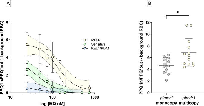 Fig. 5: Incorporation of radioactive PPQ among clinical isolates.