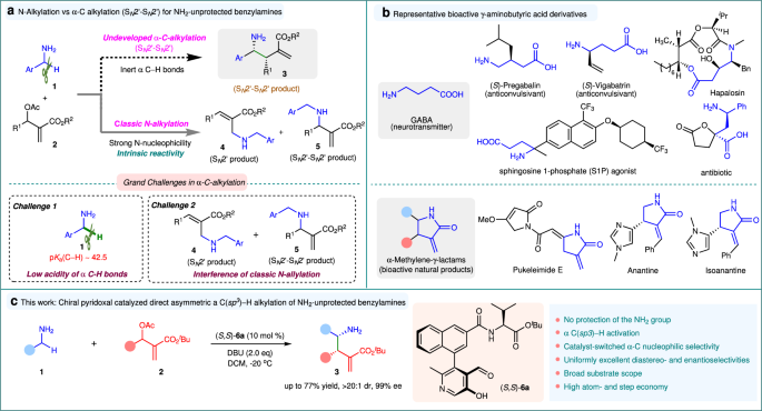 Fig. 1: α C‒H allylic alkylation of benzylamines with MBH adducts.