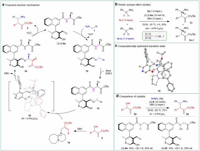 Fig. 5: Mechanistic studies.