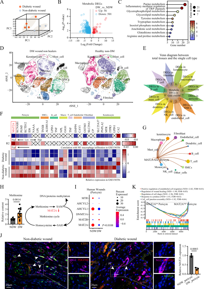Fig. 1: Identification of candidate metabolic enzymes closely associated with inflammatory macrophage infiltration in DWs.