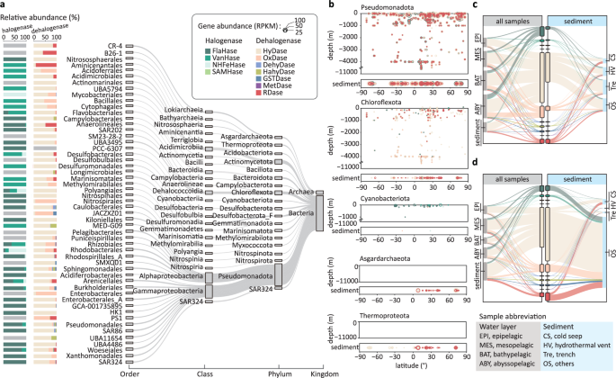 Fig. 2: Distribution of organohalide-cycling genes and prokaryotes in the ocean.