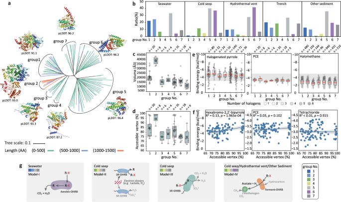 Fig. 4: Structure-based phylogenetic tree of marine RDases and associated “microorganism-enzyme-organohalide” patterns for reductive dehalogenation of organohalides in the ocean.