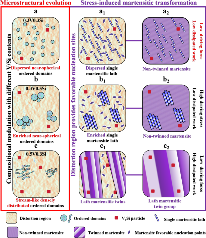 Fig. 6: Microstructural evolution and stress-induced martensitic transformation mechanisms.