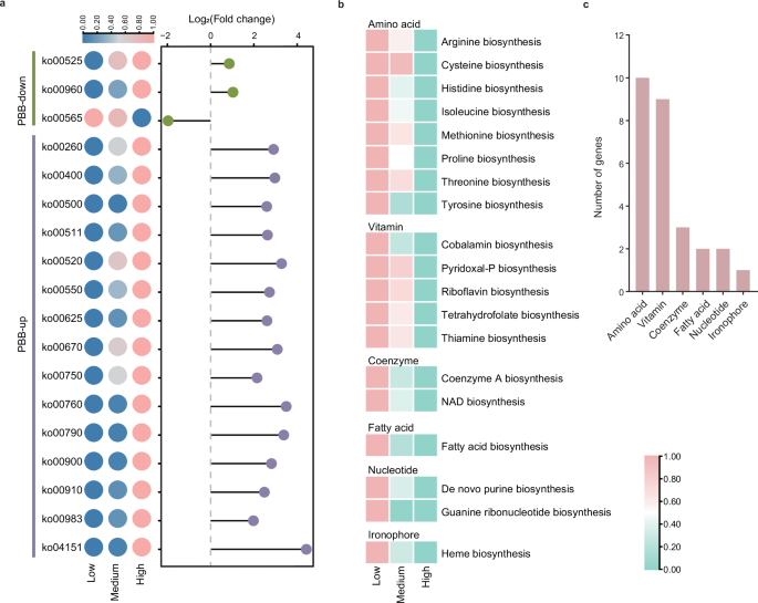 Fig. 5: Effects of pesticide risk on functional and growth factor biosynthesis of plant-beneficial bacteria (PBB).