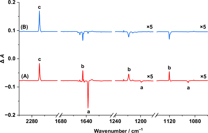 Fig. 2: IR spectra.