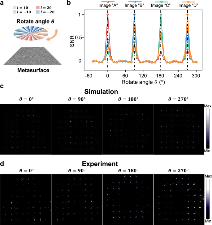 Fig. 4: Simulation and experimental results of the four-channel discontinuous OAM holography.