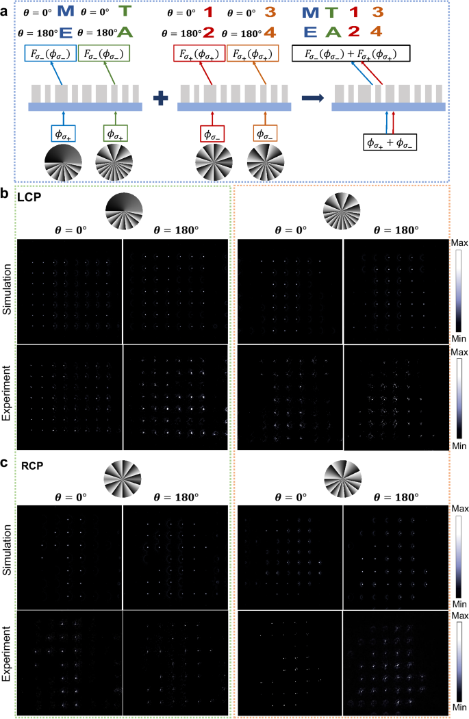 Fig. 5: Polarization–OAM hybrid encoding.