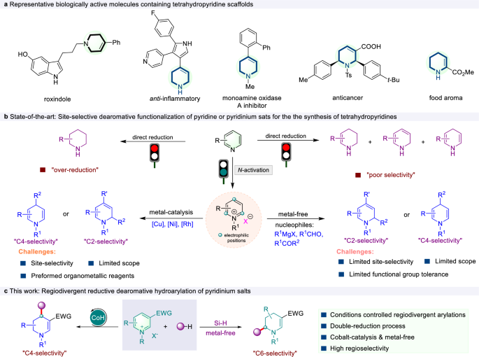 Fig. 1: Significance of tetrahydropyridines and impetus for developing regioselective and site-divergent reductive hydroarylation of pyridinium salts.