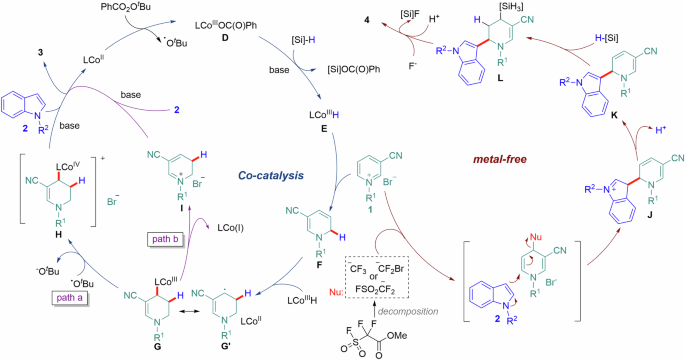 Fig. 6: Proposed mechanism for regioselective and site-divergent reductive hydroarylation of pyridinium salts.