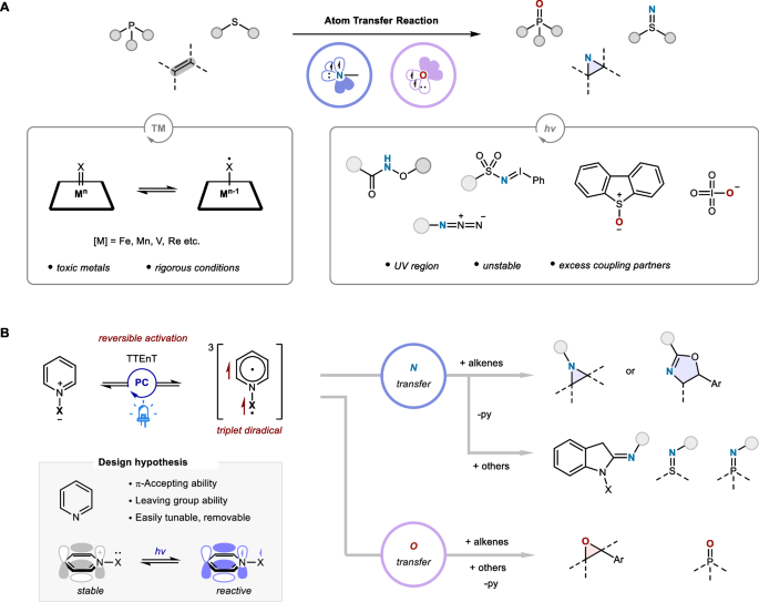 Fig. 1: Overview of atom transfer reactions.