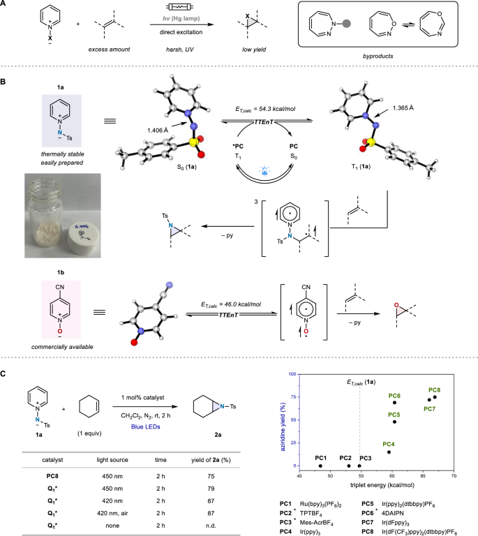 Fig. 2: Reaction design and proof-of-concept studies.