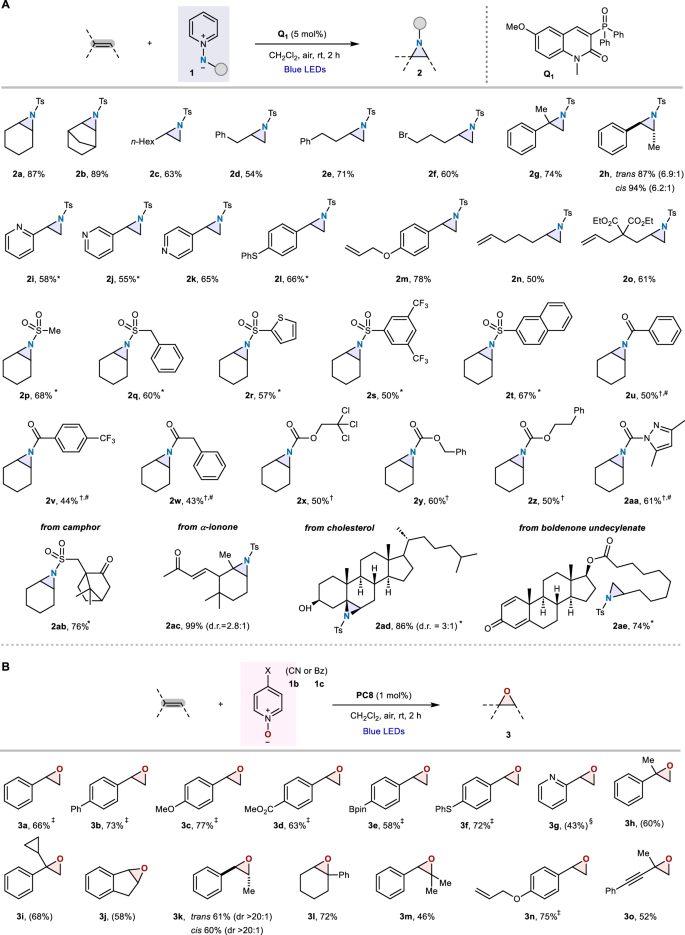 Fig. 3: Substrate scope.