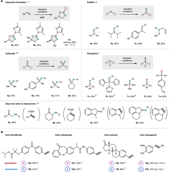 Fig. 4: Different reactivity and late-stage functionalization.